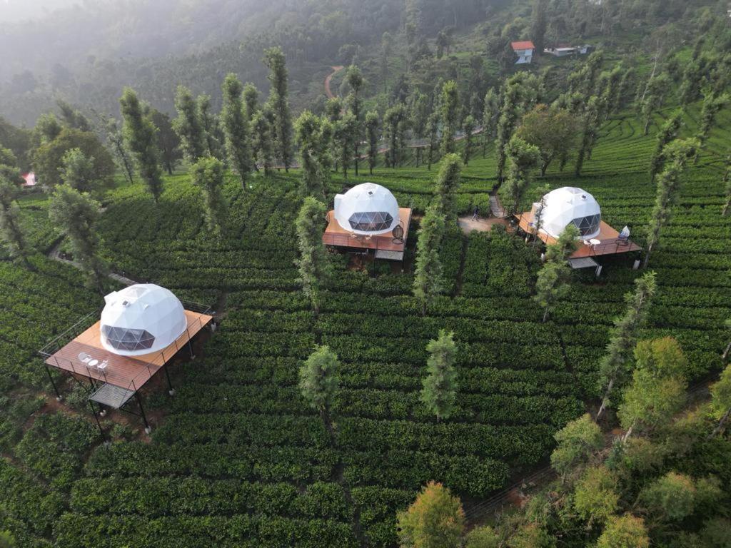 Vythiri Tea Valley I Best Hotel In Wayanad L Hotels In Vythiri Wayanad Екстериор снимка