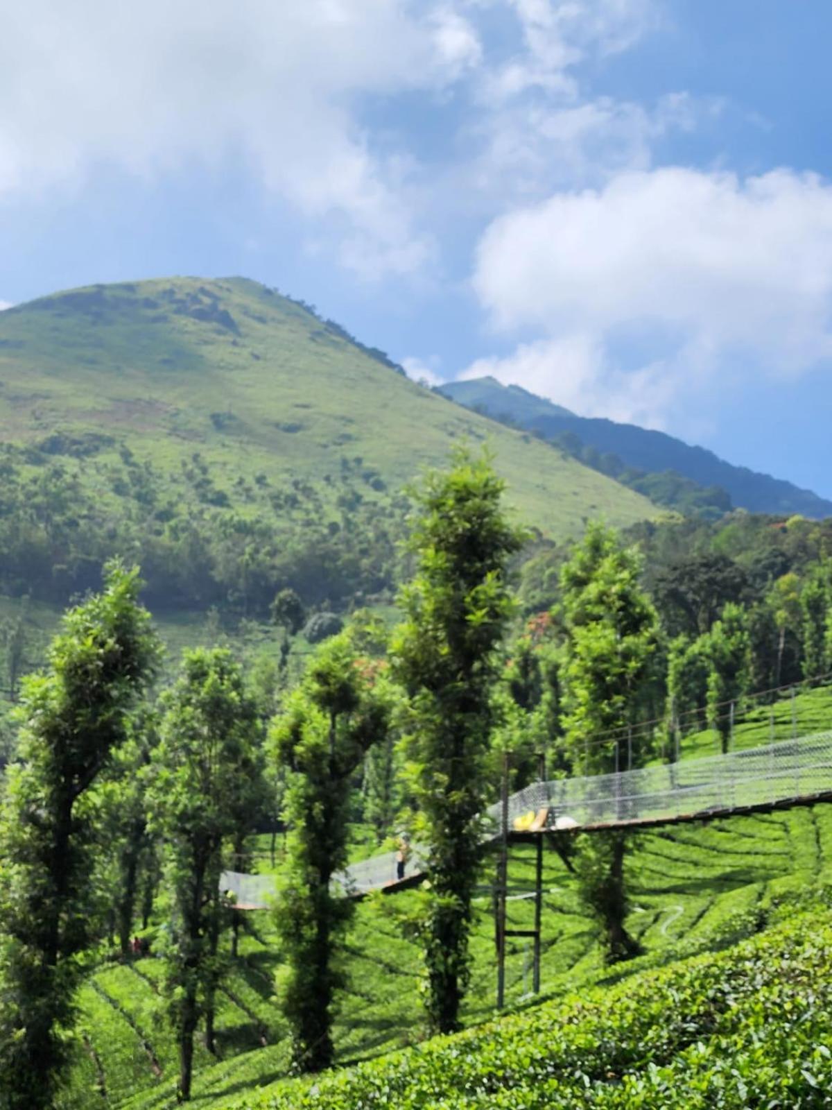 Vythiri Tea Valley I Best Hotel In Wayanad L Hotels In Vythiri Wayanad Екстериор снимка